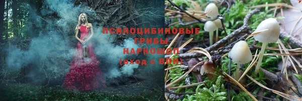 скорость Арсеньев