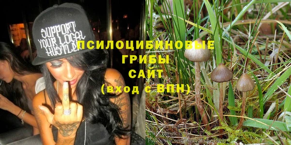 каннабис Аркадак