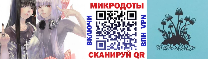 Купить  Саратов  Псилоцибиновые грибы MAGIC MUSHROOMS 